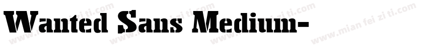 Wanted Sans Medium字体转换